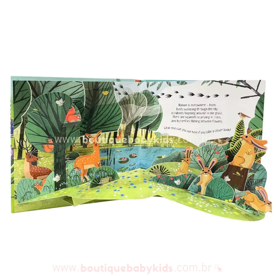 Página do livro Pop-Up Nature representando um cenário florestal cheio de vida, com cervos, coelhos, esquilos e pássaros entre árvores e um lago. As camadas em pop-up adicionam profundidade à cena.